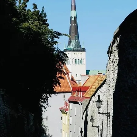 Housing Old Town Homes - 1 Bdr In Pikk Jalg * Ταλίν