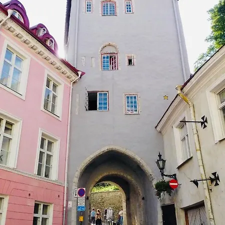 Housing Old Town Homes - 1 Bdr In Pikk Jalg